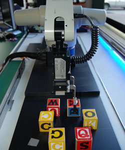 Robotic Arm and Bingo Cubes